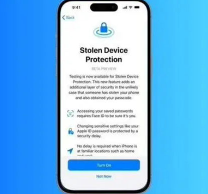 延边朝鲜族苹果授权维修店分享被盗设备保护功能开启方法 