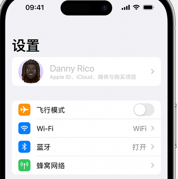 延边朝鲜族appleID维修服务iPhone设置中Apple ID显示为灰色无法使用 