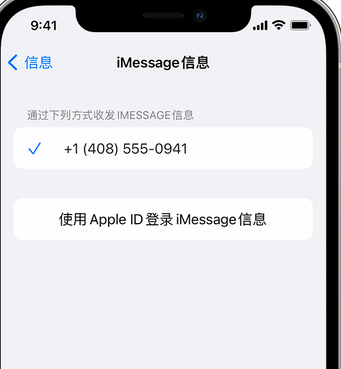 延边朝鲜族apple维修iPhone上无法正常发送iMessage信息