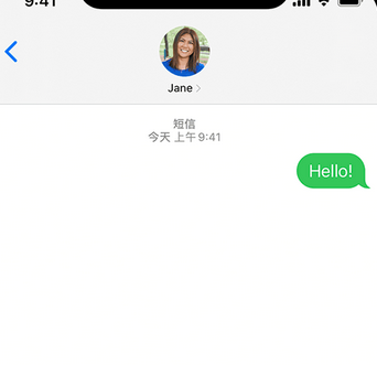 延边朝鲜族apple维修iPhone上无法正常发送iMessage信息