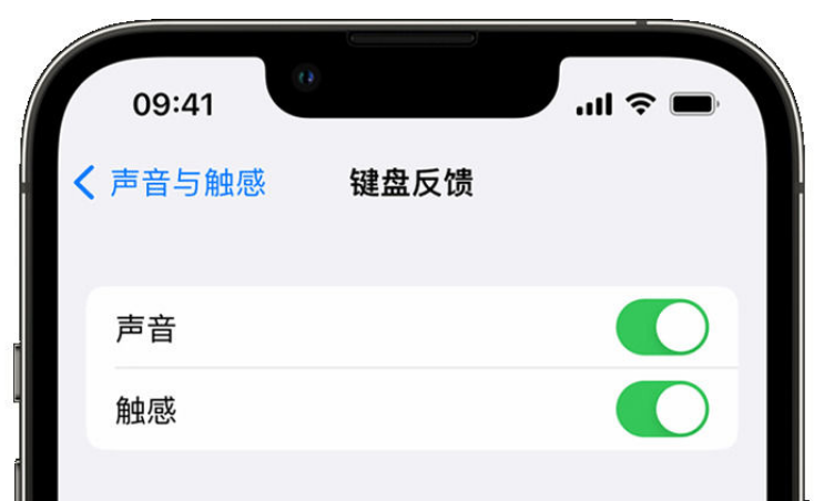 延边朝鲜族苹果手机维修分享iPhone 14触感键盘使用方法 