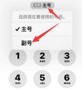 延边朝鲜族苹果14维修店分享iPhone 14 Pro Max使用副卡打电话的方法 