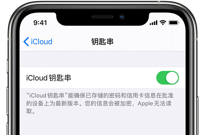 延边朝鲜族苹果手机维修分享在 iPhone 上开启 iCloud 钥匙串之后会储存哪些信息 