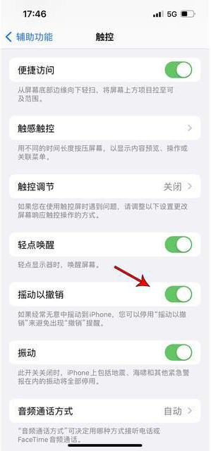 延边朝鲜族苹果手机维修分享iPhone手机如何设置摇一摇删除文字 